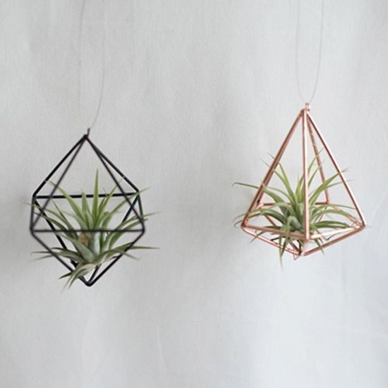 틸란드시아 메탈프레임 행잉플랜트