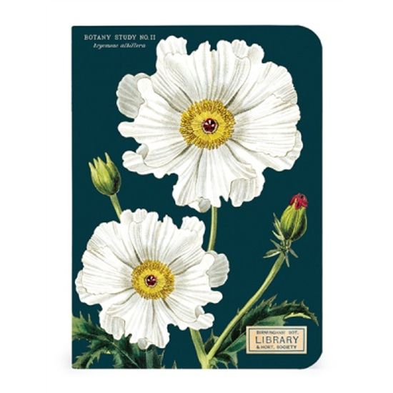 카발리니 미니 노트북 - Botany