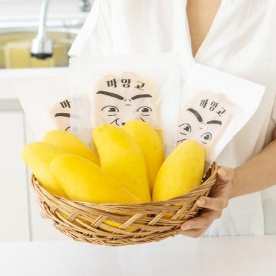 푸드터치 태국 건망고 말린망고 100g * 5개입