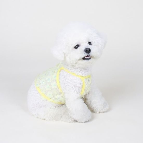 플라워 시스루 크롭나시 옐로우(WD14FD1)