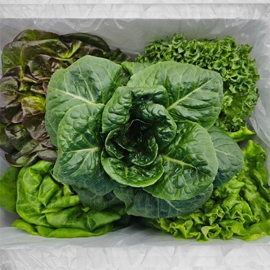 친환경 유러피안 샐러드 4-5종 1kg 2개