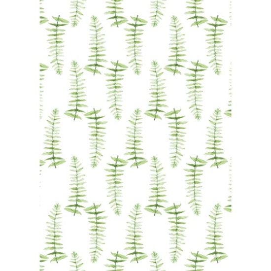 고사리잎 / 일러스트 액자