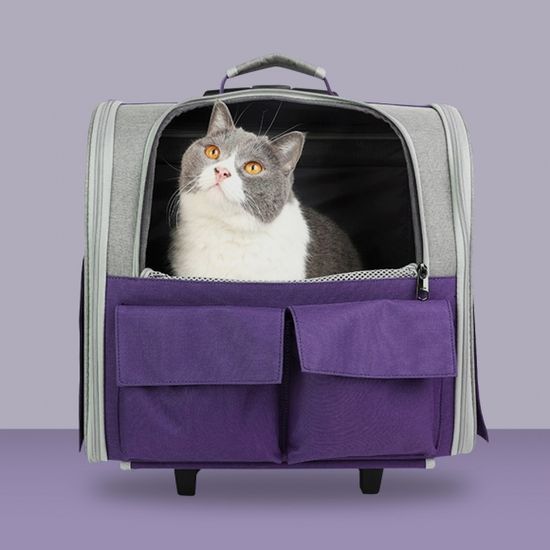 러빙펫 백팩 캐리어 이동가방(퍼플) 강아지 외출가방