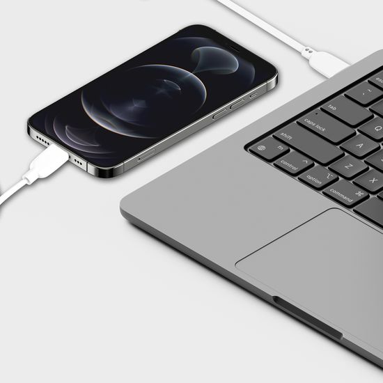 디지털벤투스 CtoC PD 65W 고속충전케이블 2m