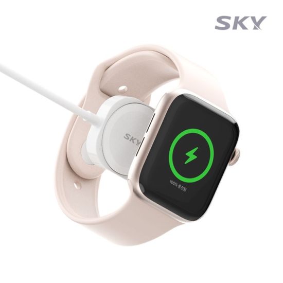 스카이 필 60W PD 2in1 C타입 애플워치 충전기 W24C