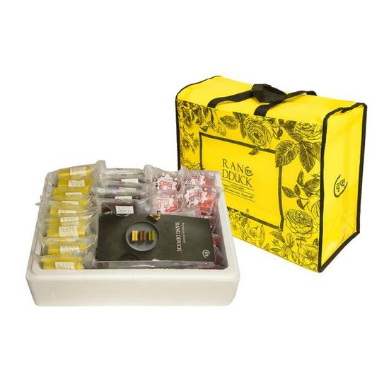 랑떡 떡샌드 52개입 종합2호(초코,딸기,치즈,녹차등)