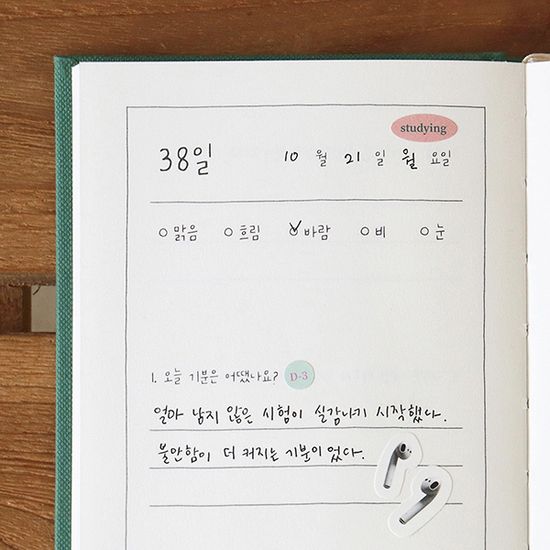 자문자답 다섯가지 주제 일기 (일기장, 100일) 