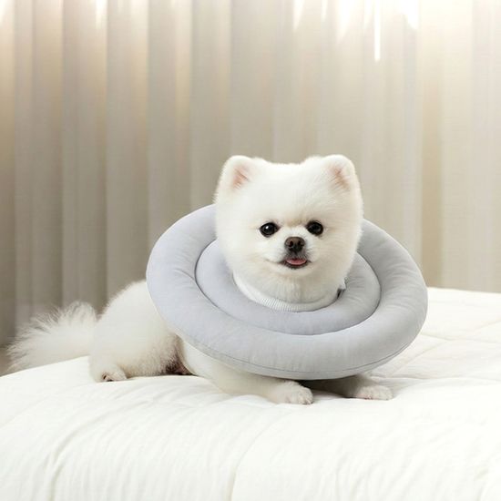 레토 초경량 방수 강아지 고양이 넥카라 LNC-C01