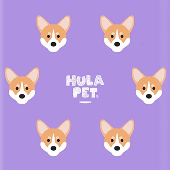 HULA PET PATTERN CASE (Welsh Corgi) / 아이폰 케이스