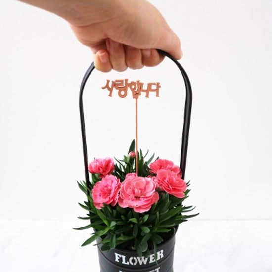 어버이날 생화 카네이션 틴 바스켓+사랑합니다 토퍼