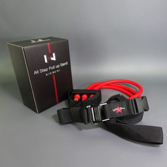 와일드브로스 저항력 조절형 철봉 턱걸이 풀업밴드