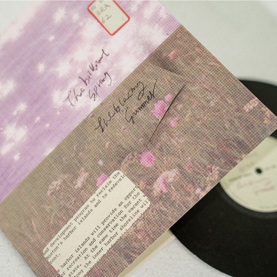 찬란한 봄과 뜨거운 여름 LP 엽서