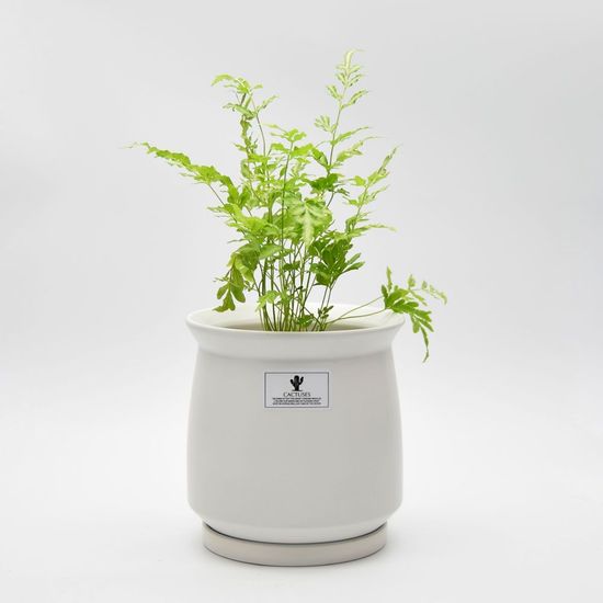 미니 행잉 행잉화분걸이 플라스틱 화분(WE4F6D0)