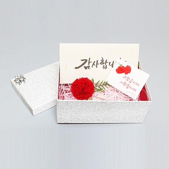 카네이션브로치+선물포장+감사카드+용돈봉투세트