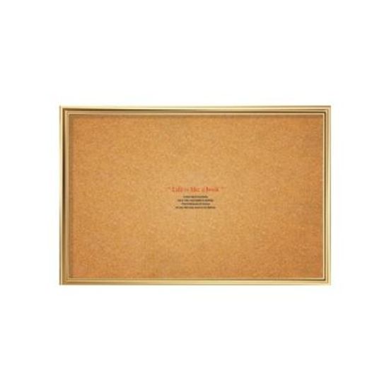 메모보드 브라운3825M 200947