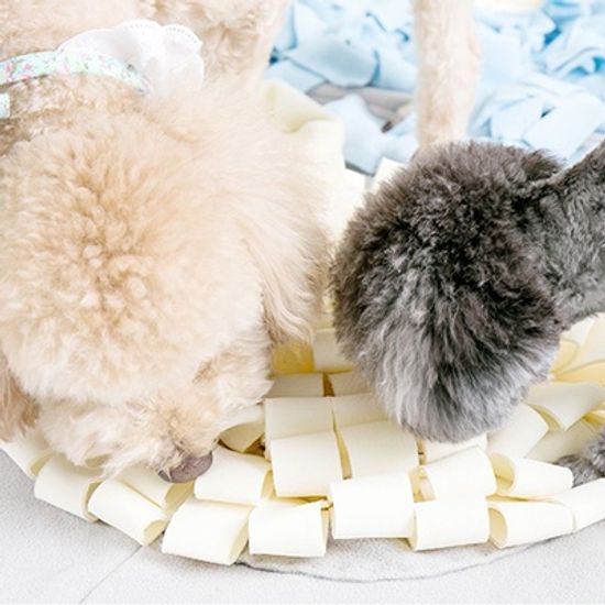 [딩동펫] 강아지 노즈워크 담요 : 자이언트