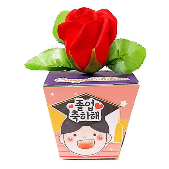 졸업 장미꽃 메세지 화분