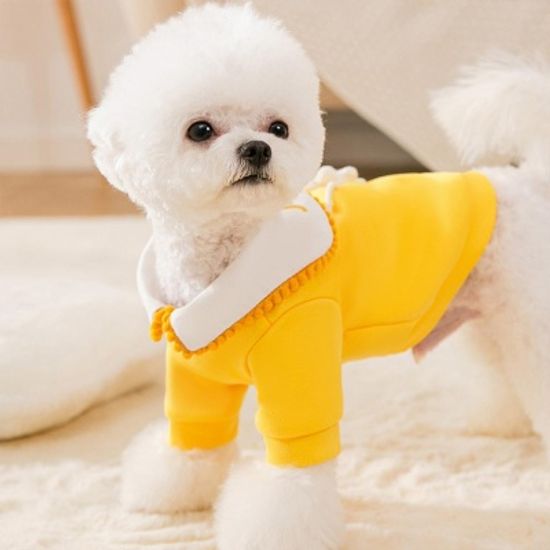 강아지 고양이 귀여운 애견의류 기모 카라티셔츠