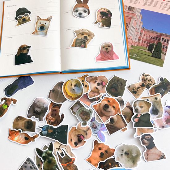 다꾸 폰꾸 리무버블 스티커 세트 No.S46 50장 세트