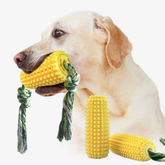 강아지 치석제거 토이스틱 콘 노즈워크 애견장난감