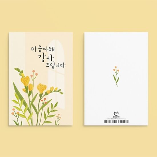 캘리그라피 감사카드 JW2202 마음 다해 감사드립니다