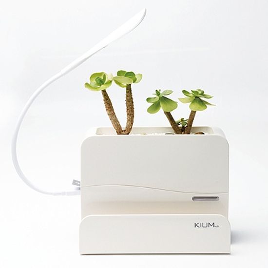 [Kium] SMART LED FLOWER POT (조명 화분)