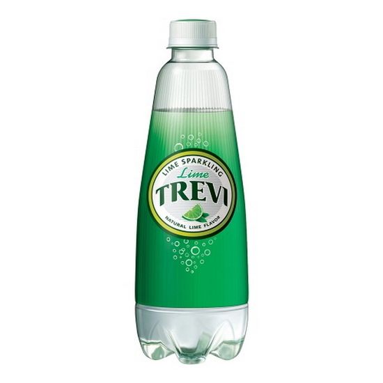 롯데 트레비 라임 300ml/20페트