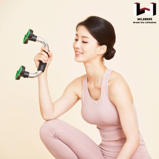 와일드브로스 크롬 푸쉬업바 경사형