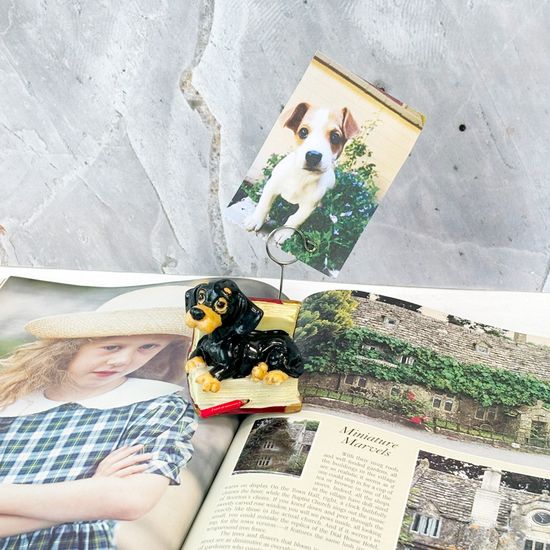 닥스훈트 메모 홀더