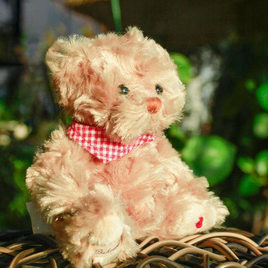 미니인형 부코스키 곰인형 헤르만