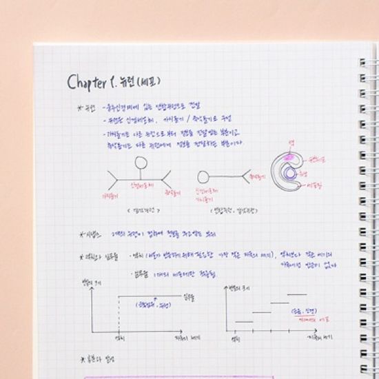 기본 스프링 노트
