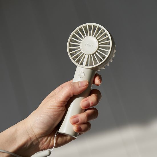 알로 듀얼팬2 휴대용 선풍기 F2A