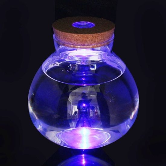 마리모 키우기 LED 유리병 반려식물 테라리움