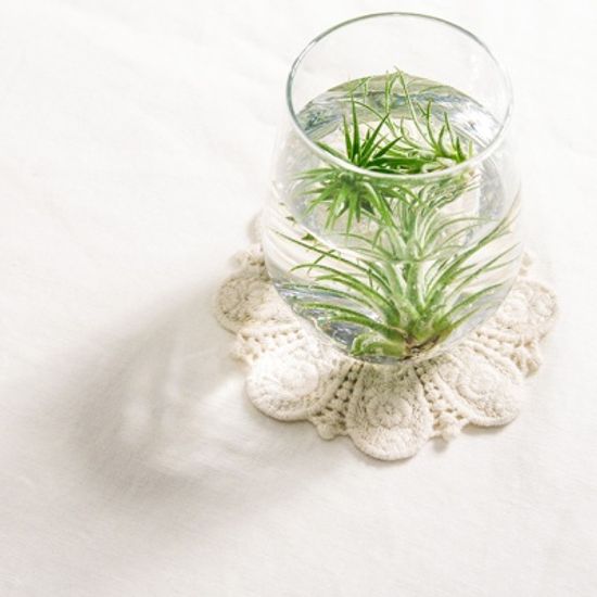 플라워 레이스 코스터