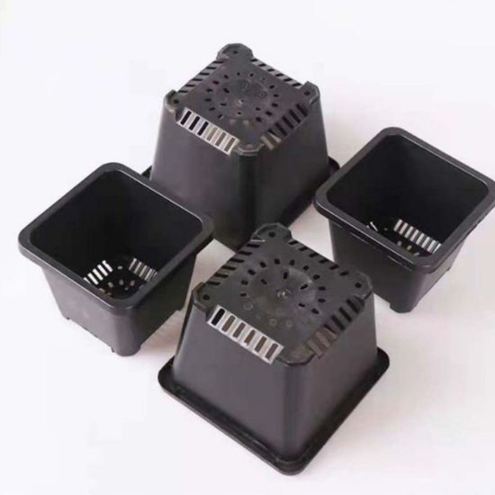 1개 14cm 사각 블랙 플라스틱 모종 화분 다육이 다육(WE3DA85)