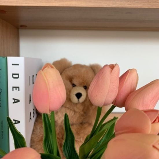 귀여운 몸뚱이 위풍당당 컴발리 알파카 곰돌이 인형