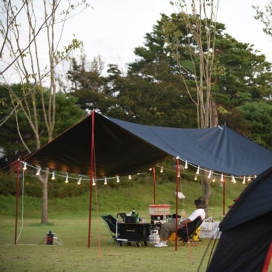 스노우아울 블랙 에디션 타프