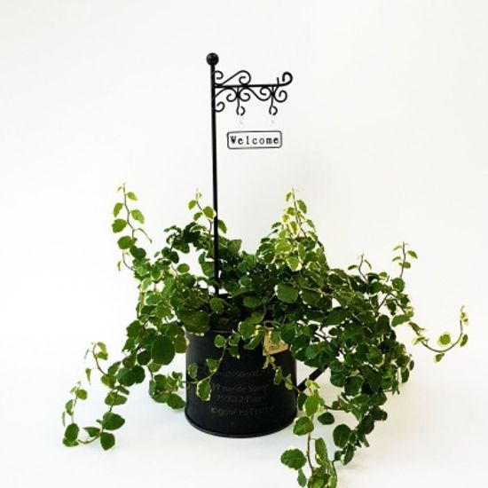 웰컴 사인보드 화분 장식 픽 2pcs