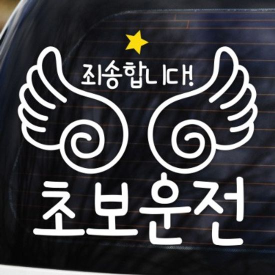 죄송합니다 초보운전 - 초보운전스티커(NEW039)