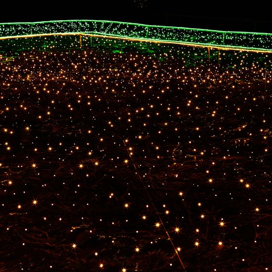 [도토로]300구 녹색선 LED 웜색 지니전구(30M) (점멸)