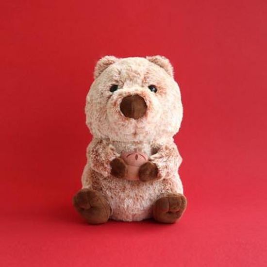 도토리 쿼카 봉제인형