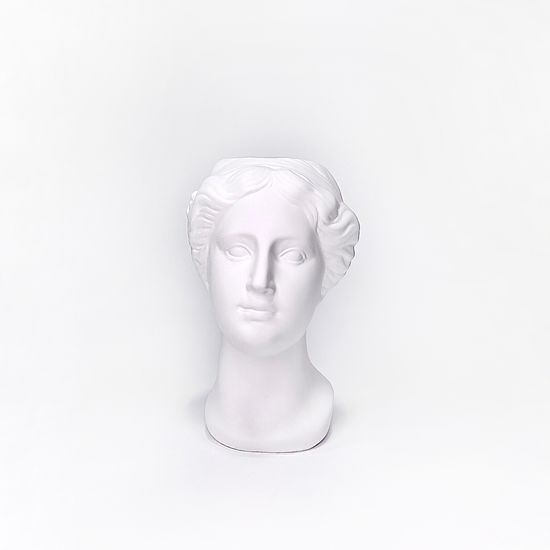 비너스 두상 오브제 인테리어 석고상 화병 화분