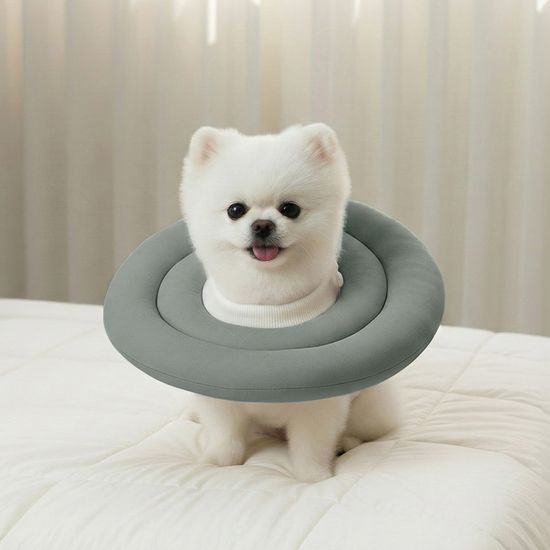 레토 초경량 방수 강아지 고양이 넥카라 LNC-C01