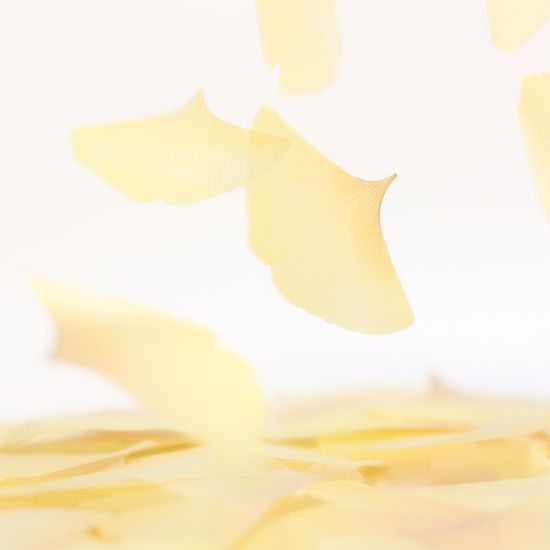 스티키리프_투명은행(Yellow,L)