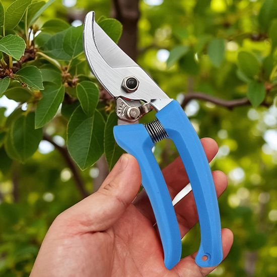나무 화초 가지치기 원예 전지가위 블루