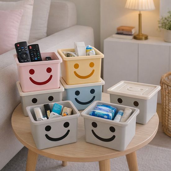 보노하우스 모던 미니 해피박스 2P 수납 정리함