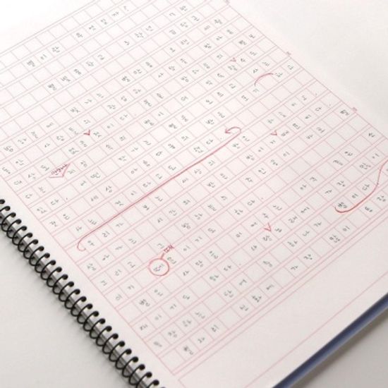 핑크풋 별빛원고지노트