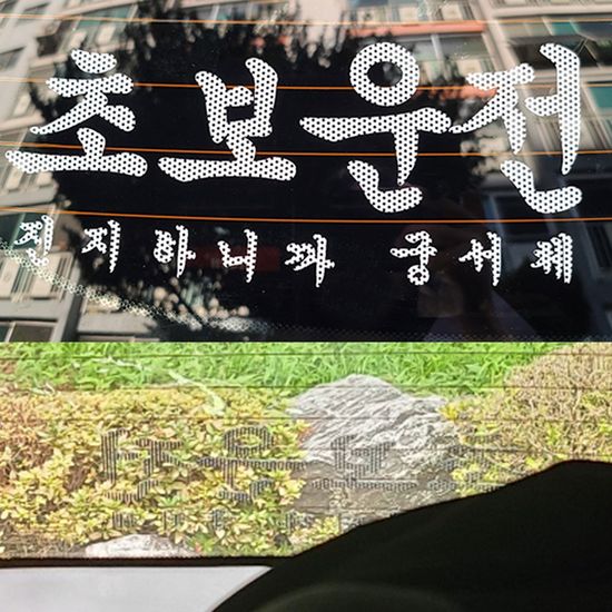 자동차 초보운전 스티커 안전운전 배려스티커