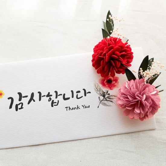 쁘띠 카네이션 브로치 (선물포장)