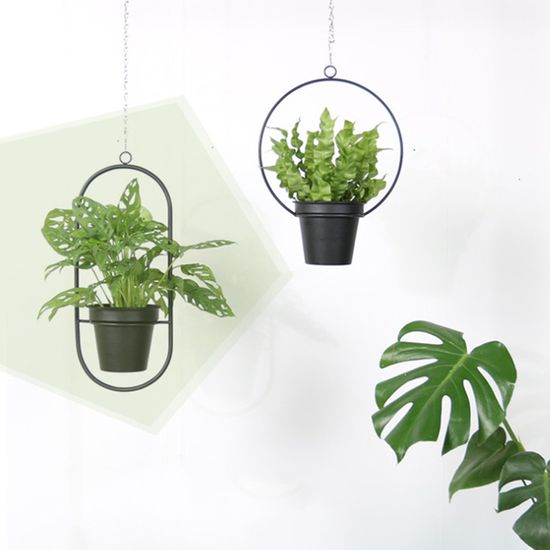베어리어스 철제 걸이형 행잉 화분 플랜테리어